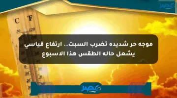 موجة حر شديدة تضرب السبت.. ارتفاع قياسي يشعل حالة الطقس هذا الأسبوع